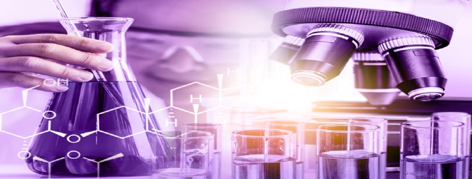 Bis(trifluoromethane)Sulfonimide Lithium Salt (LiTFSI) Market