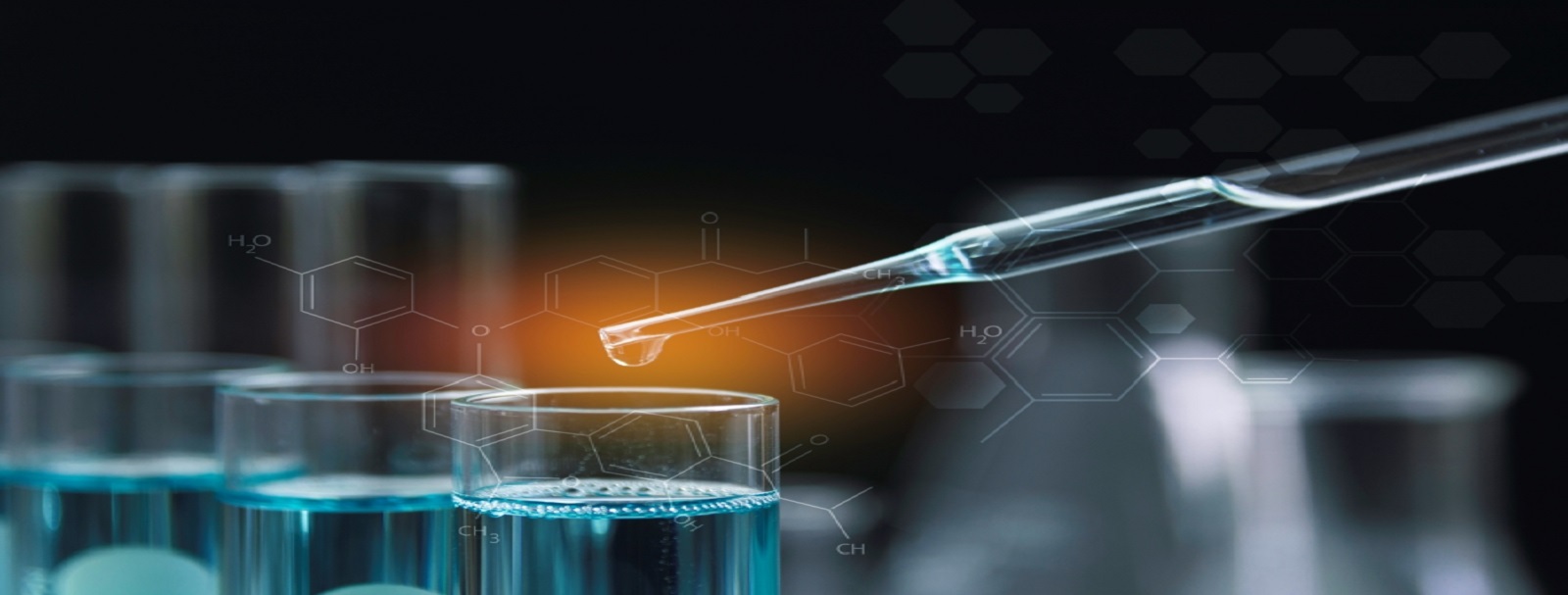 Polyamide 12 (PA 12 & Nylon 12) Market