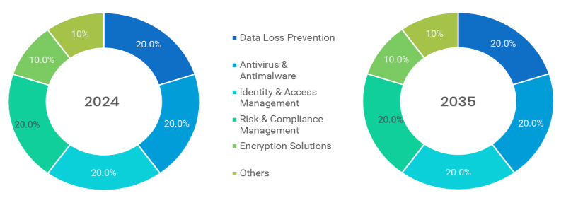 Healthcare Data Security Market Segmentation By Solution Type