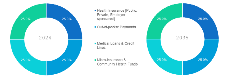 Healthcare Financing Market Segmentation By Financing Type