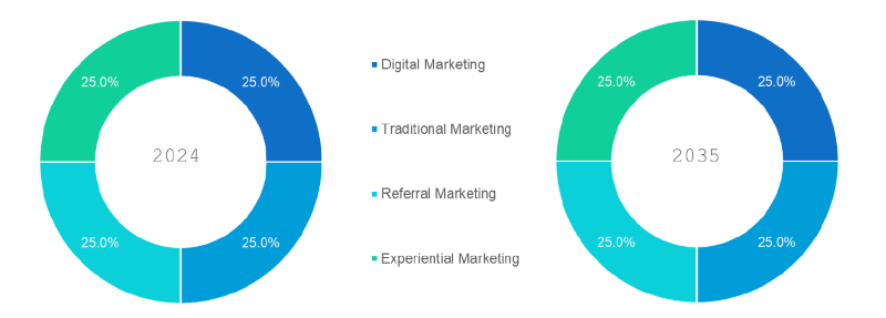 Healthcare Marketing Strategies Segmentation By Marketing Type