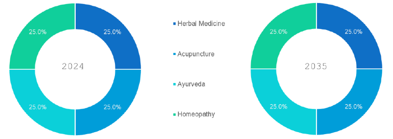 Integrative and Complementary Medicine Market Segmentation By Therapy Type