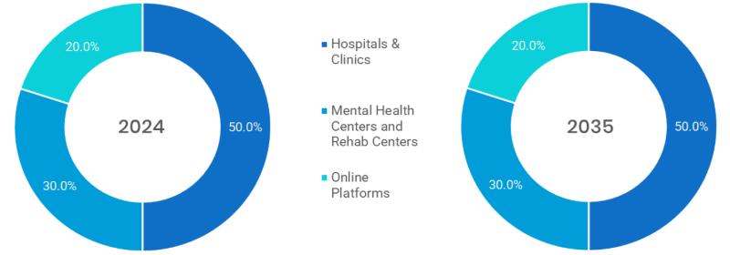 Mental Health Market Segmentation By End User