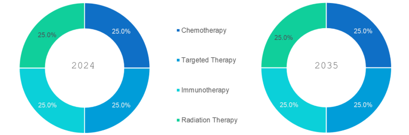 Oncology and Cancer Care Market Segmentation By Therapy Type