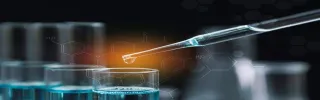 Rubber Accelerator TP Market