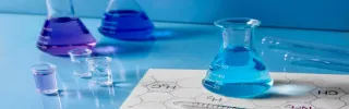 Chloroprene Rubber Market