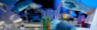 Dimethylformamide (DMF) Market