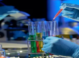 Dimethylformamide (DMF) Market